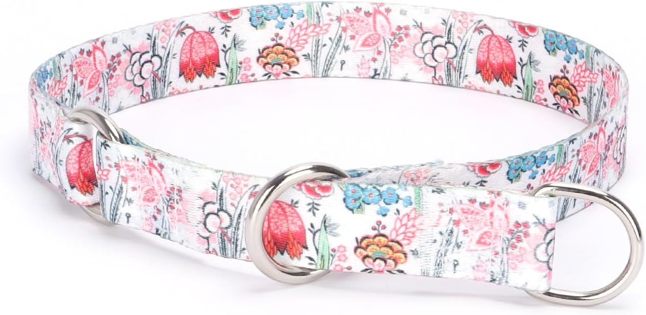 Martingale Dog Collar - No Pull Training Collar with Flower Multicolor Cute Patterns - Premium No Slip Collar with Slidable Stop Ring - Suitable for Small, Medium, Large Dogs (L, Skull)