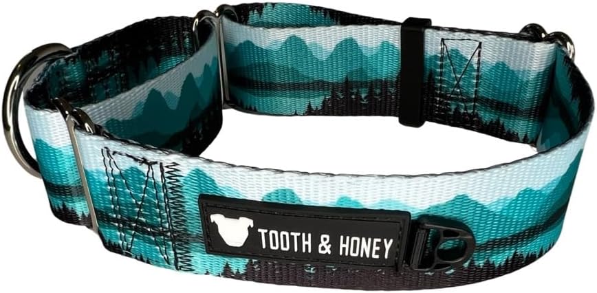 Tooth and Honey Pitbull 1.5 Dinosaur Martingale Collar