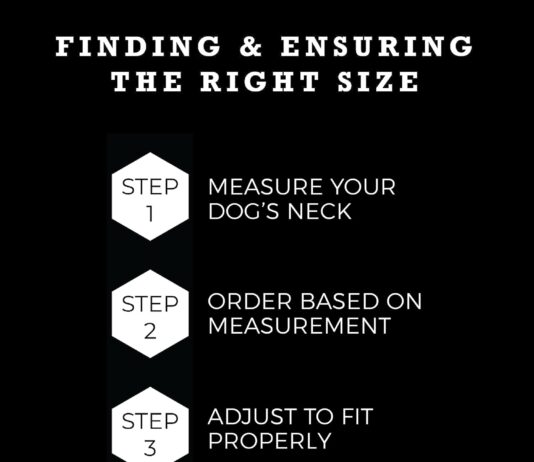 wolfgang premium martingale dog collar for medium dogs durable easy to clean nylon dog collar with quick clip buckles fo 1