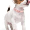 Faygarsle Blueberry Pattern Dog Collar for Summer Light Blue - Image 3