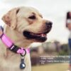 DAGANXI Tactical Dog Collar Adjustable Nylon with Control Handle and Buckle - Image 5