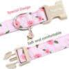 DAGANXI Tactical Dog Collar Adjustable Nylon with Control Handle and Buckle - Image 4