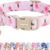 DAGANXI Tactical Dog Collar Adjustable Nylon with Control Handle and Buckle - Image 4