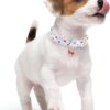 Faygarsle Blueberry Pattern Dog Collar for Summer Light Blue - Image 2