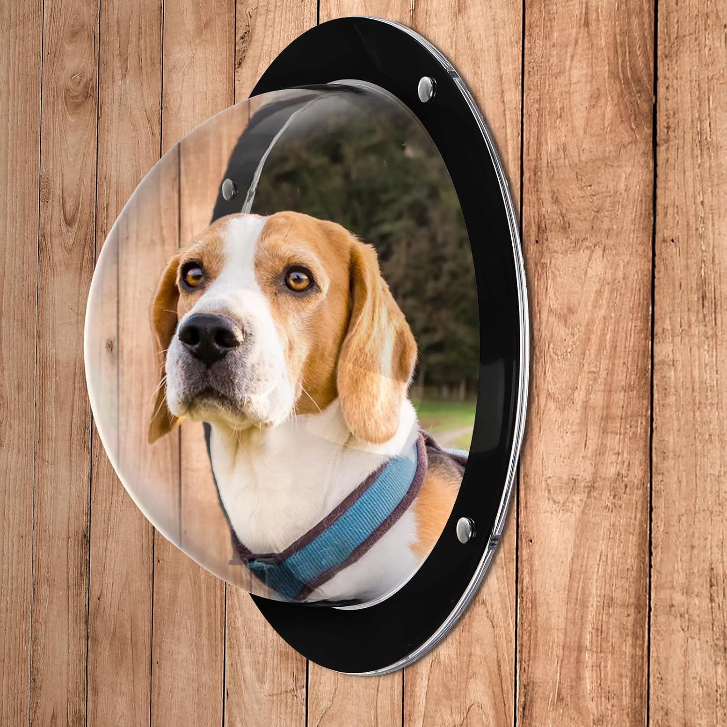 Goaste 2 Pack Dog Fence Window, 12.4 Inch Clear Pet Dome, Durable Plastic Pet Peek Windows Playground, Doggie Fence Safe Domes, Pets Supply for Dog Cat Horse, 12.4 x 4.9 Inch