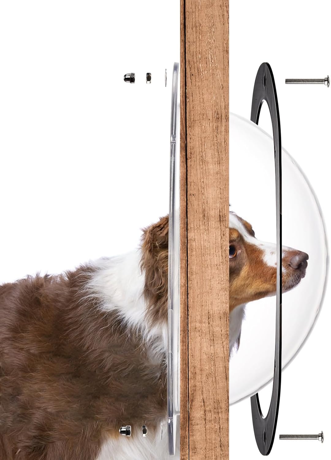 Goaste 2 Pack Dog Fence Window, 12.4 Inch Clear Pet Dome, Durable Plastic Pet Peek Windows Playground, Doggie Fence Safe Domes, Pets Supply for Dog Cat Horse, 12.4 x 4.9 Inch