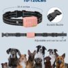 Jugbow 4200FT Dog Training Collar with Remote - Image 3
