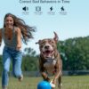 Jugbow 4200FT Dog Training Collar with Remote - Image 2