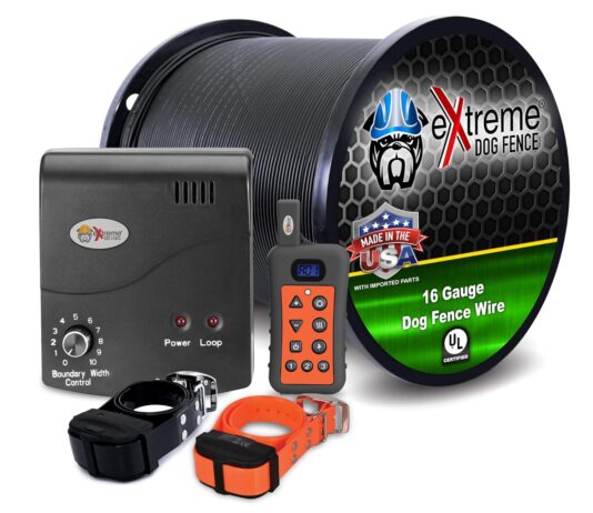 Electric Dog Fence + Remote Trainer Review