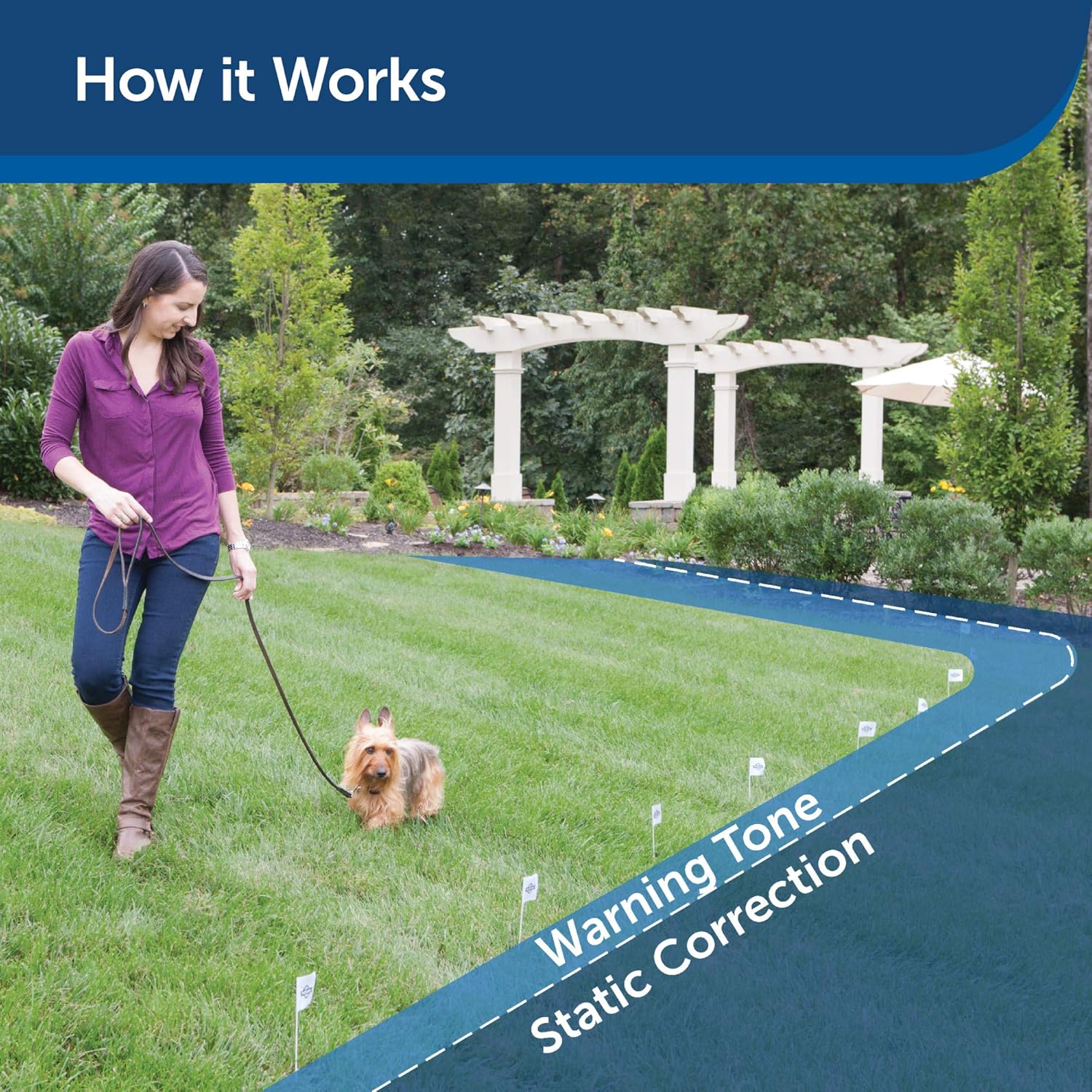PetSafe Elite Little Dog In-Ground Pet Fence Receiver Collar - for Dogs Over 5 lb - Waterproof with Tone and Static Stimulation – from The Parent Company of Invisible Fence Brand