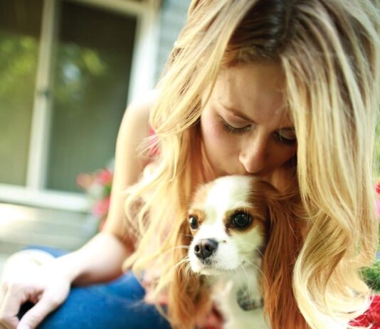 PetSafe Elite Little Dog In-Ground Pet Fence Receiver Collar Review