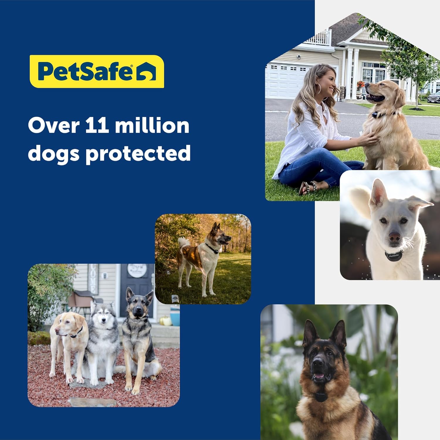 PetSafe Stay  Play 2-Dog Wireless Fence for Stubborn Dogs - Americas Safest Wireless Pet Containment System - No Dig Electric Fence - Circular Boundary - Secure 3/4-Acre Yard - for Dogs 5lb+