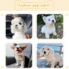 Spooky Halloween Dog Collar, Handmade Cotton with Bats & Pumpkins Pattern Pet Collar for Small Medium Large Dogs, Breathable, Adjustable & Comfortable Puppy Collar for Photos & Walks - XS - Image 2