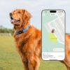 New Fi Series 3+ Smart Dog Tracker Collar - AI GPS for Dogs - Image 4