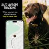 New Fi Series 3+ Smart Dog Tracker Collar - AI GPS for Dogs - Image 4