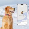 New Fi Series 3+ Smart Dog Tracker Collar - AI GPS for Dogs - Image 3