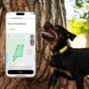 New Fi Series 3+ Smart Dog Tracker Collar - AI GPS for Dogs - Image 4