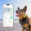 New Fi Series 3+ Smart Dog Tracker Collar - AI GPS for Dogs - Image 2