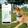 New Fi Series 3+ Smart Dog Tracker Collar - AI GPS for Dogs - Image 5