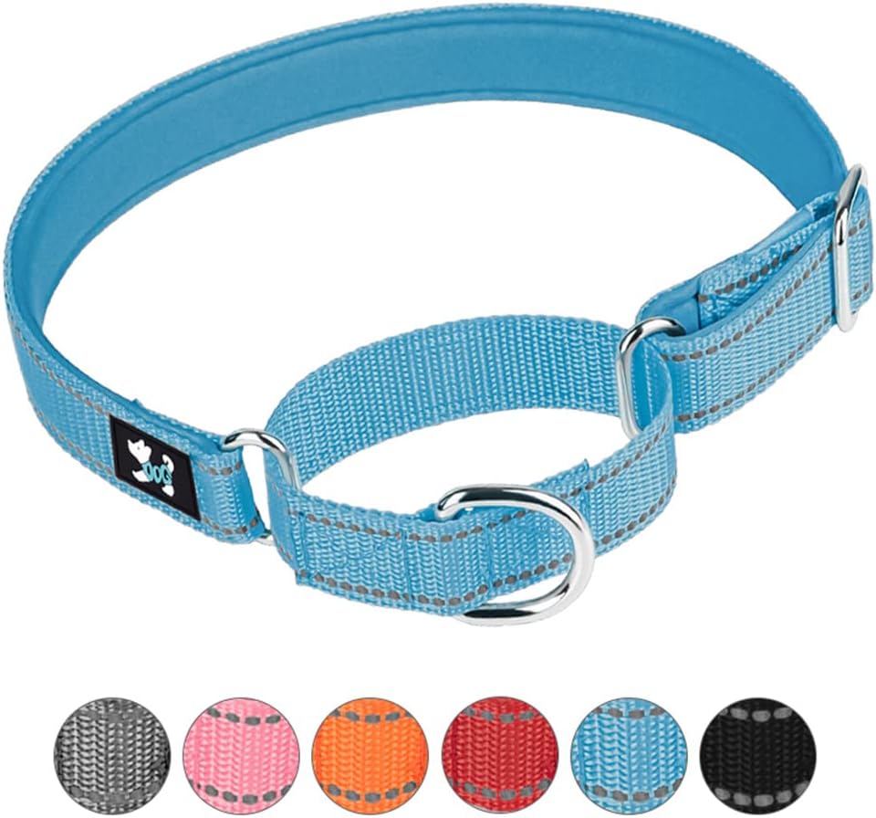 Adjustable Martingale Safety Training Dog Collars, Soft Neoprene Padded Breathable Nylon Pet Collar for Large Medium Small Dogs (M, Orange)