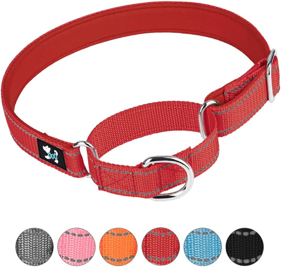Adjustable Martingale Safety Training Dog Collars, Soft Neoprene Padded Breathable Nylon Pet Collar for Large Medium Small Dogs (M, Orange)