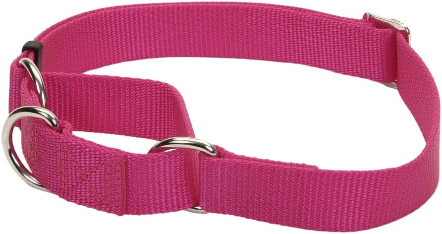 Coastal Pet - No Slip - Martingale Adjustable Dog Collar, Pink Flamingo, 5/8 x 10-14