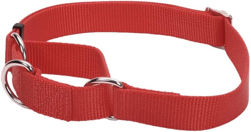 Coastal Pet - No Slip - Martingale Adjustable Dog Collar, Pink Flamingo, 5/8 x 10-14