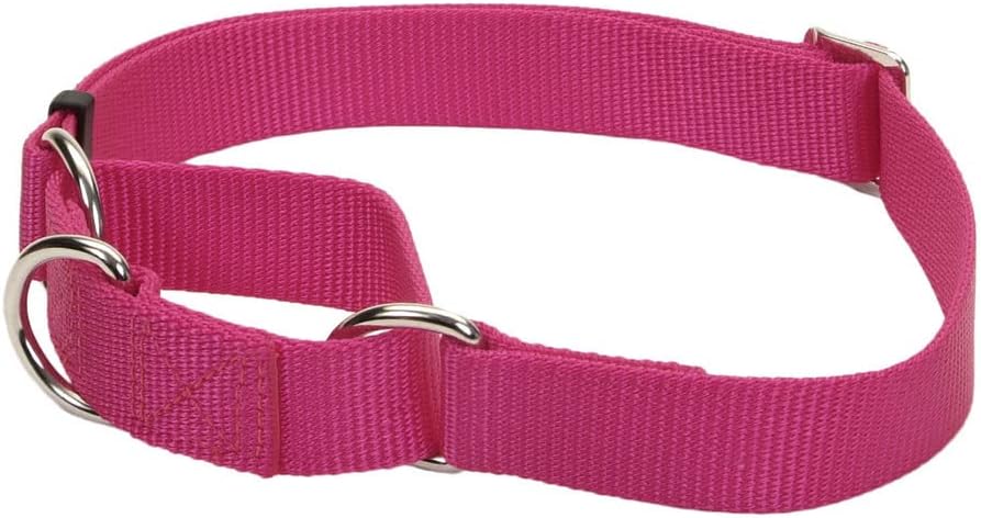 Coastal Pet - No Slip - Martingale Adjustable Dog Collar, Pink Flamingo, 5/8 x 10-14