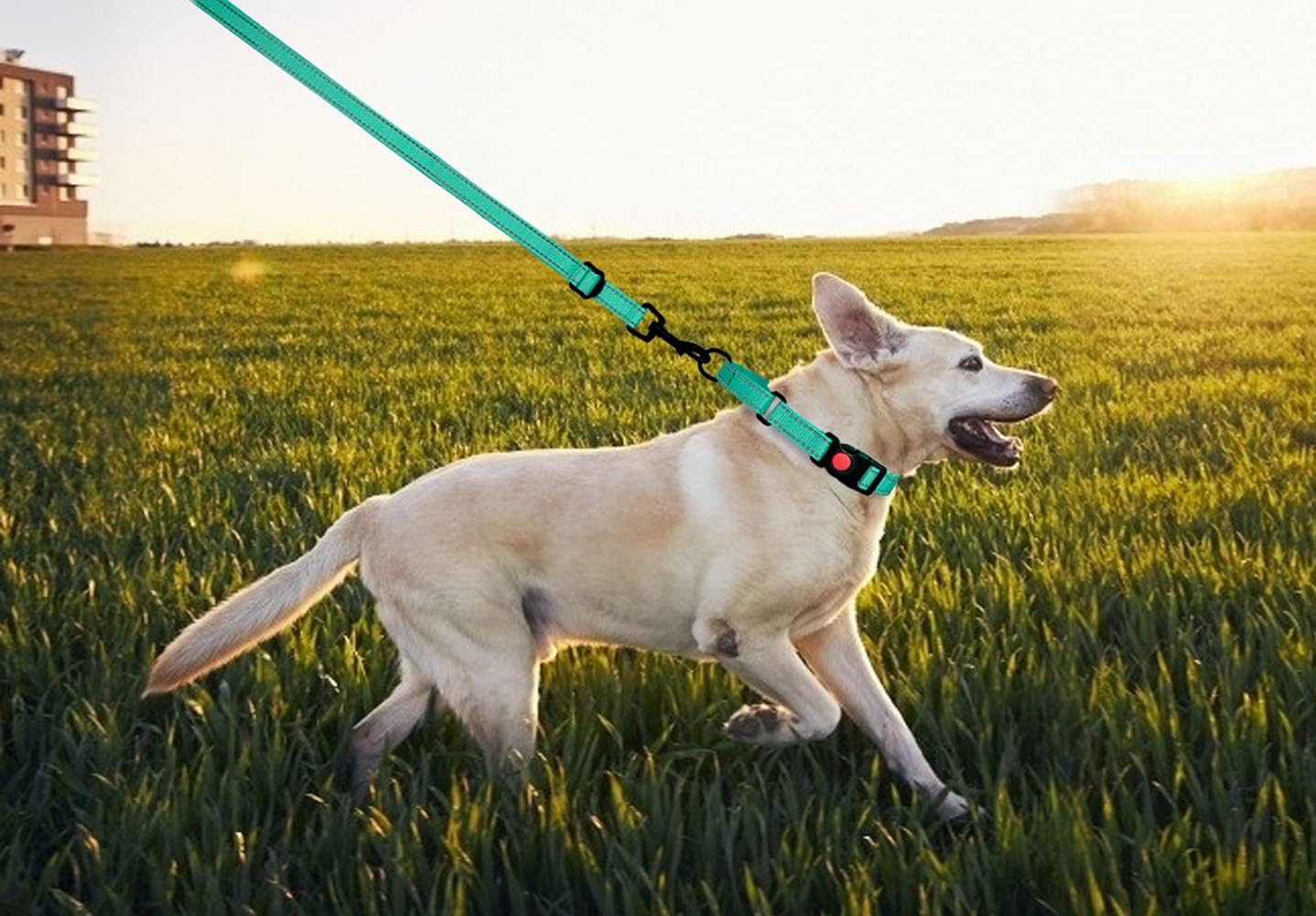 Martingale Dog Collar and Leash Set Martingale Collars for Dogs Reflective Martingale Collar for Small Medium Large Dogs(RedS)