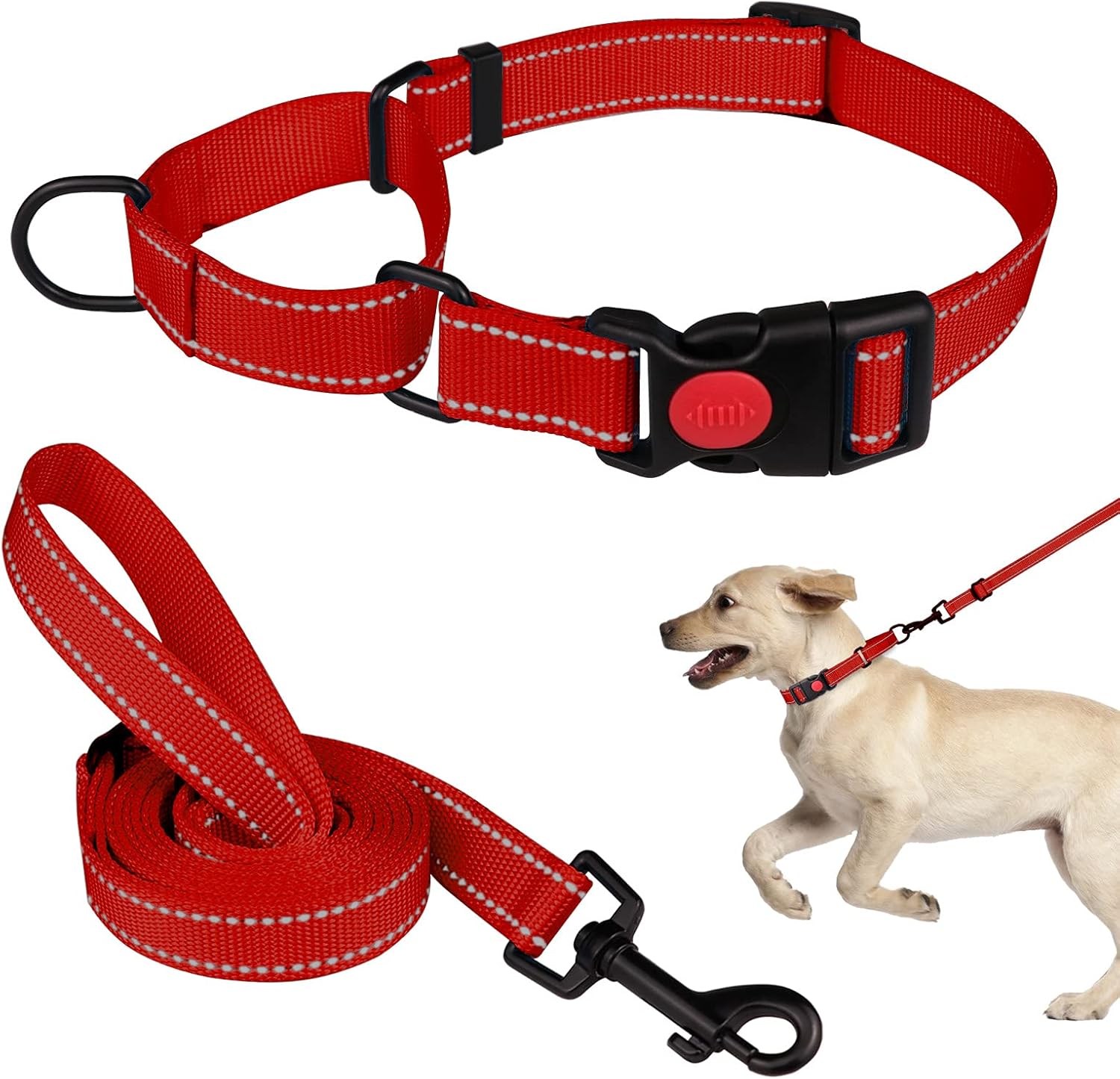 Martingale Dog Collar and Leash Set Martingale Collars for Dogs Reflective Martingale Collar for Small Medium Large Dogs(RedS)