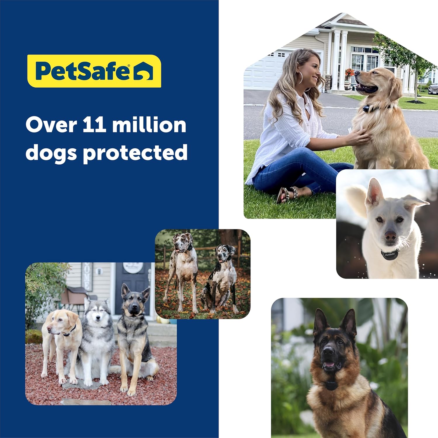 PetSafe Guardian GPS 2.0 Dog Fence + Tracking – Wireless Dog Fence with Reliable Dual Frequency GPS Tracking – Smaller Collar for All Breeds 10 lbs and Above – Subscription Required