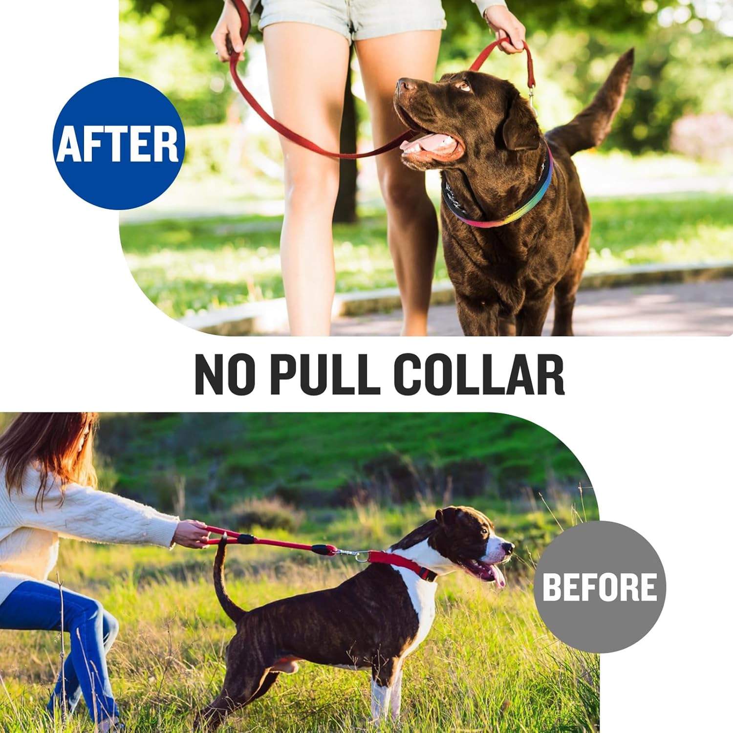 Reflective Martingale Collar for Dogs,No Pull Dog Walking Training Collar,Nylon Hidden Dog Collar for Small,Medium,Large Breed Dogs,Adjustable Anti Pull Dog Collar with Quick Release Buckle