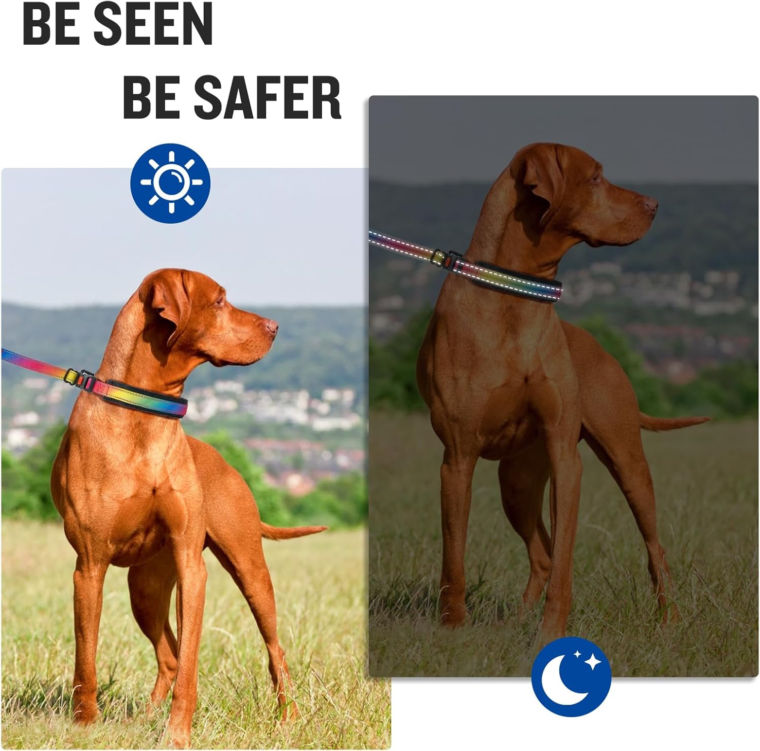 Reflective Martingale Collar for Dogs,No Pull Dog Walking Training Collar,Nylon Hidden Dog Collar for Small,Medium,Large Breed Dogs,Adjustable Anti Pull Dog Collar with Quick Release Buckle