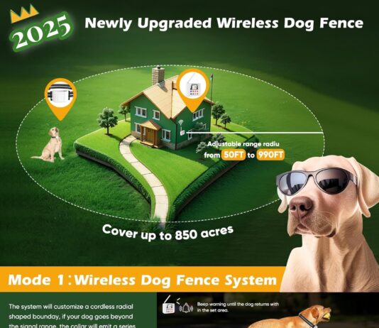 Wireless Dog Fence System 2025 review