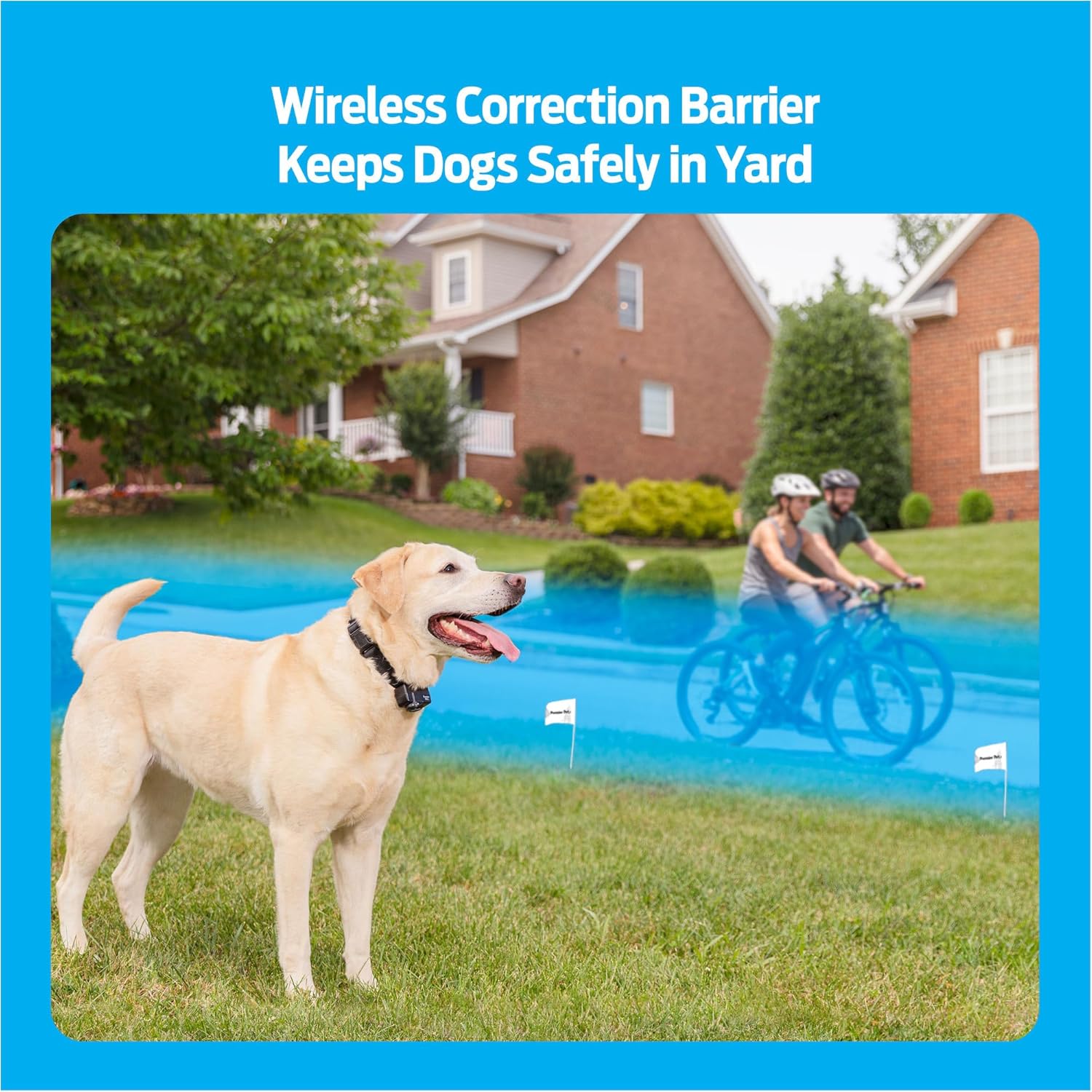 Wireless Dog Fence System - Adjustable Circular Boundary Up to ½ Acre - Waterproof Collar with Tone  5 Static Levels - No Digging - Expandable to Include Multiple Dogs