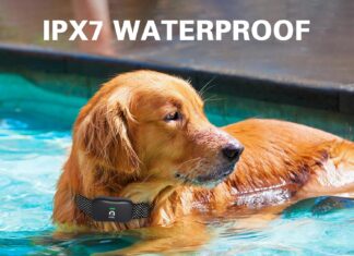 MIMOFPET Wireless Dog Fence System review