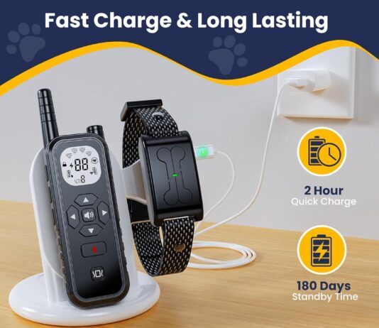 Electric Fence review