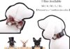 ARING PET Valentine’s Day Dog Collar with Bow review