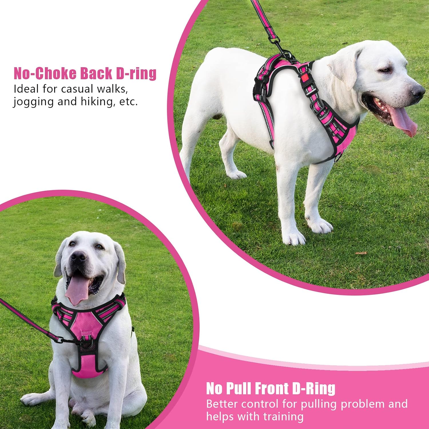 BaoCheng NO Pull Dog Harness,for Small Medium Large Dogs,Adjustable,Reflective [Without Going Over Head] No-Choke Pet Oxford Vest,Easy to Put on and Take Off,with 2 Leash Clips(Hot Pink,M)