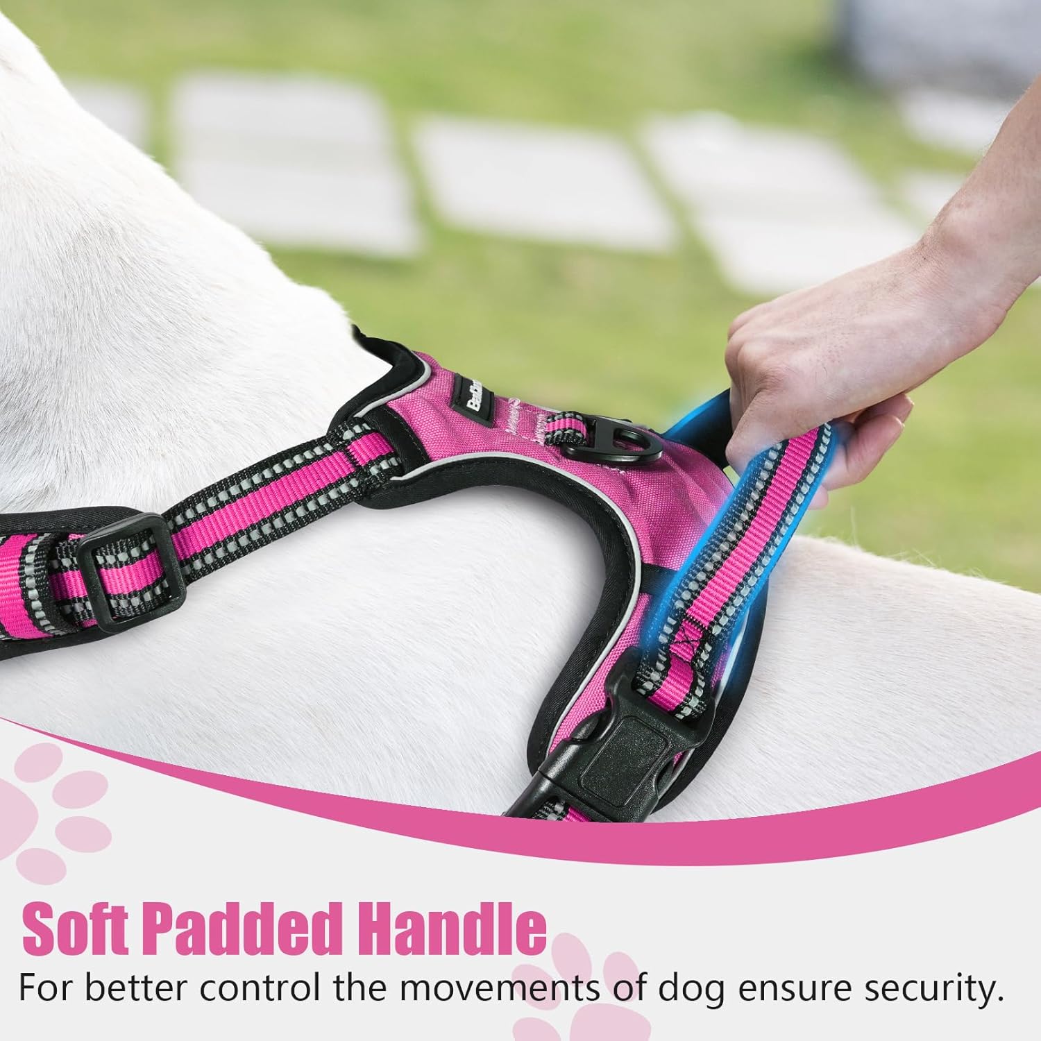 BaoCheng NO Pull Dog Harness,for Small Medium Large Dogs,Adjustable,Reflective [Without Going Over Head] No-Choke Pet Oxford Vest,Easy to Put on and Take Off,with 2 Leash Clips(Hot Pink,M)