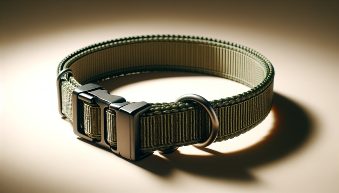 country-brook-petz-nylon-dog-collar-large-green-review