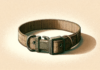 DCSP Pets Heavy-Duty Dog Collar (Medium, Khaki) review