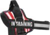 Essential Dog Harness review