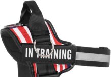 Essential Dog Harness review