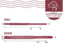 Filbert Leather Dog Collar review
