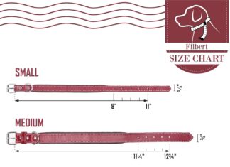 Filbert Leather Dog Collar review