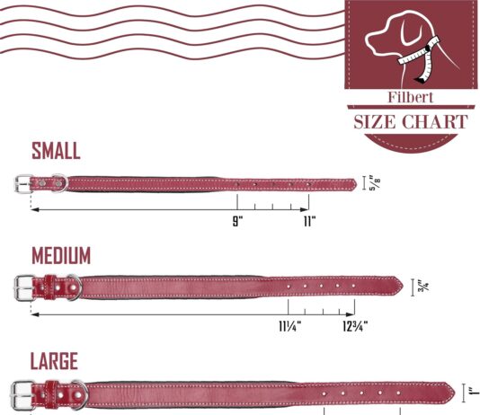 Filbert Leather Dog Collar review