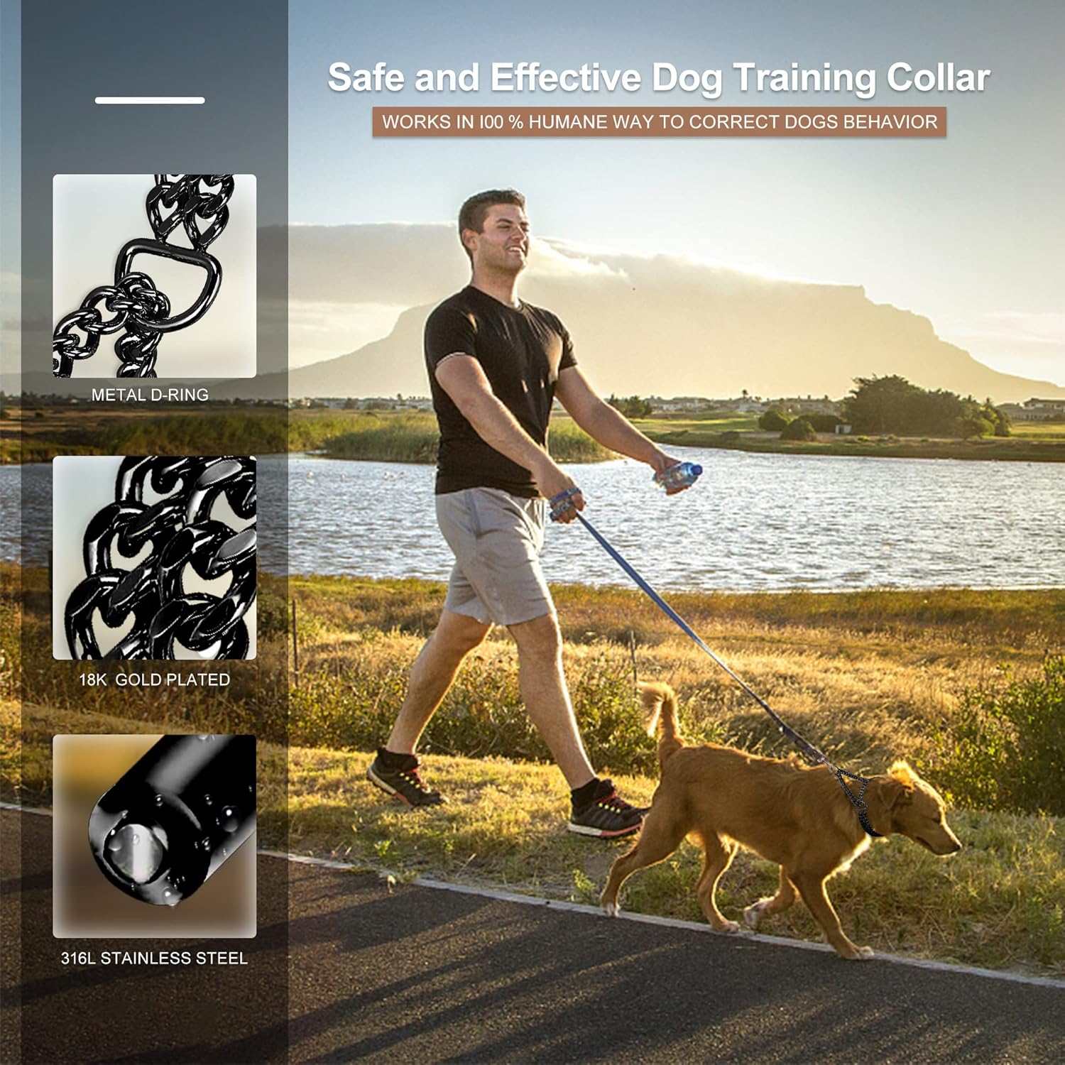 Gold Dog Collar Chain Stainless Steel 19K Gold Dog Collar Adjustable Walking, Metal Cuban Link Dog Collar Chew Proof Double Row Chain Dog Collar for Large Small Medium Dogs