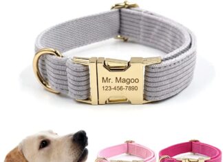 Personalized Dog Collar with Metal Buckle review