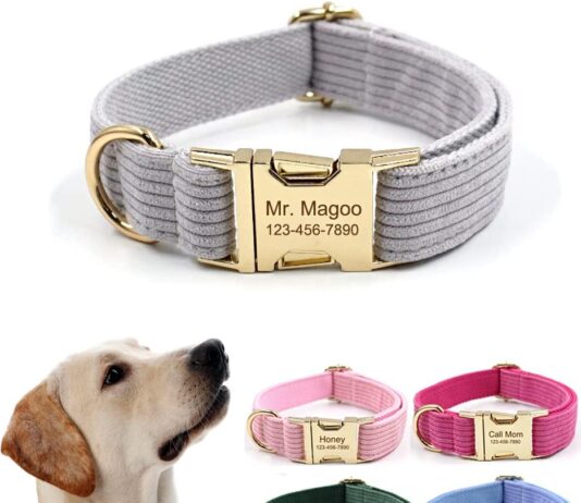 Personalized Dog Collar with Metal Buckle review